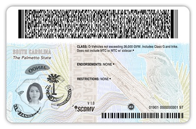 O21 DL Reverse