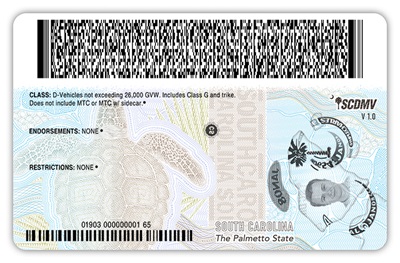 U21 DL Reverse