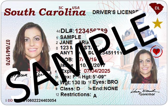 South Carolina Department of Motor Vehicles - Class E & F license testing  has returned to select branches. Follow this link to schedule your  appointment:  Testing/Class-E-and-F-Road-Test